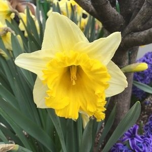 Meet your Posher, Jessie